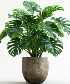 product 01